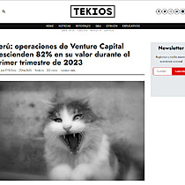 Per: operaciones de Venture Capital descienden 82% en su valor durante el primer trimestre de 2023
